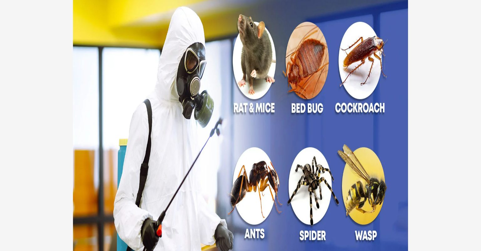 BALAJI PEST CONTROL