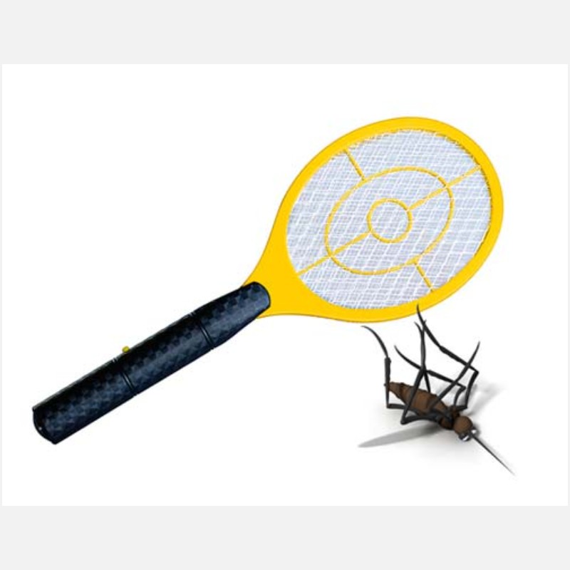 Bedbugs Control