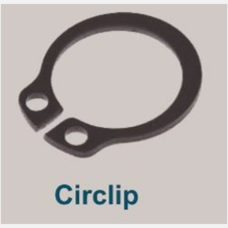 Circlip