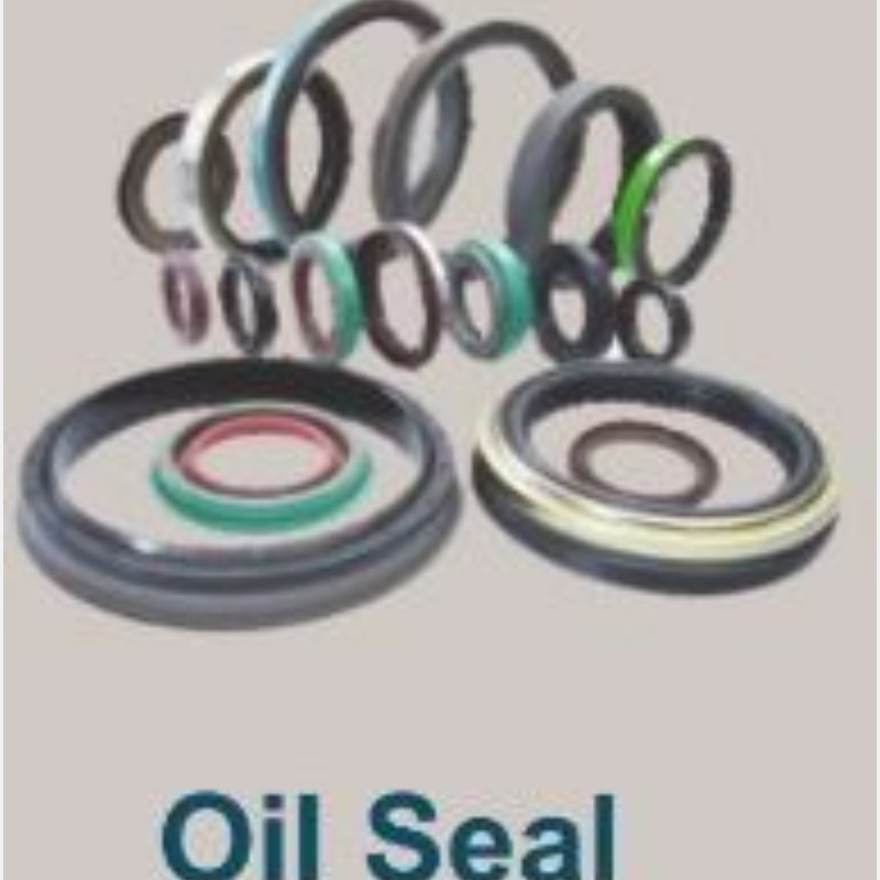 Oil Seal