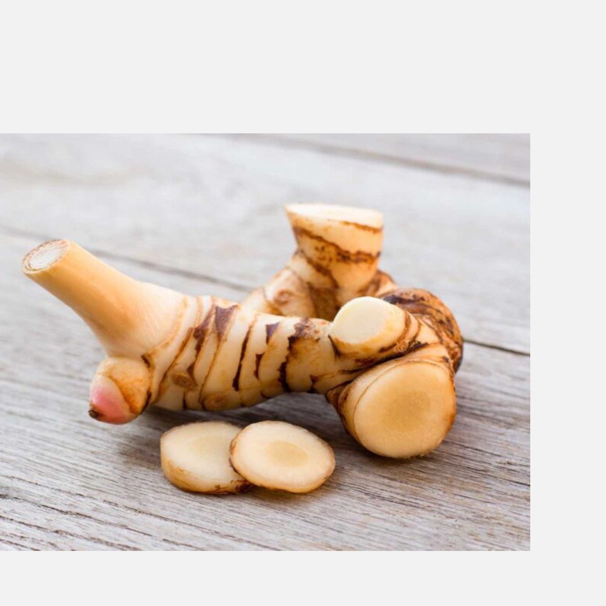 Galangal