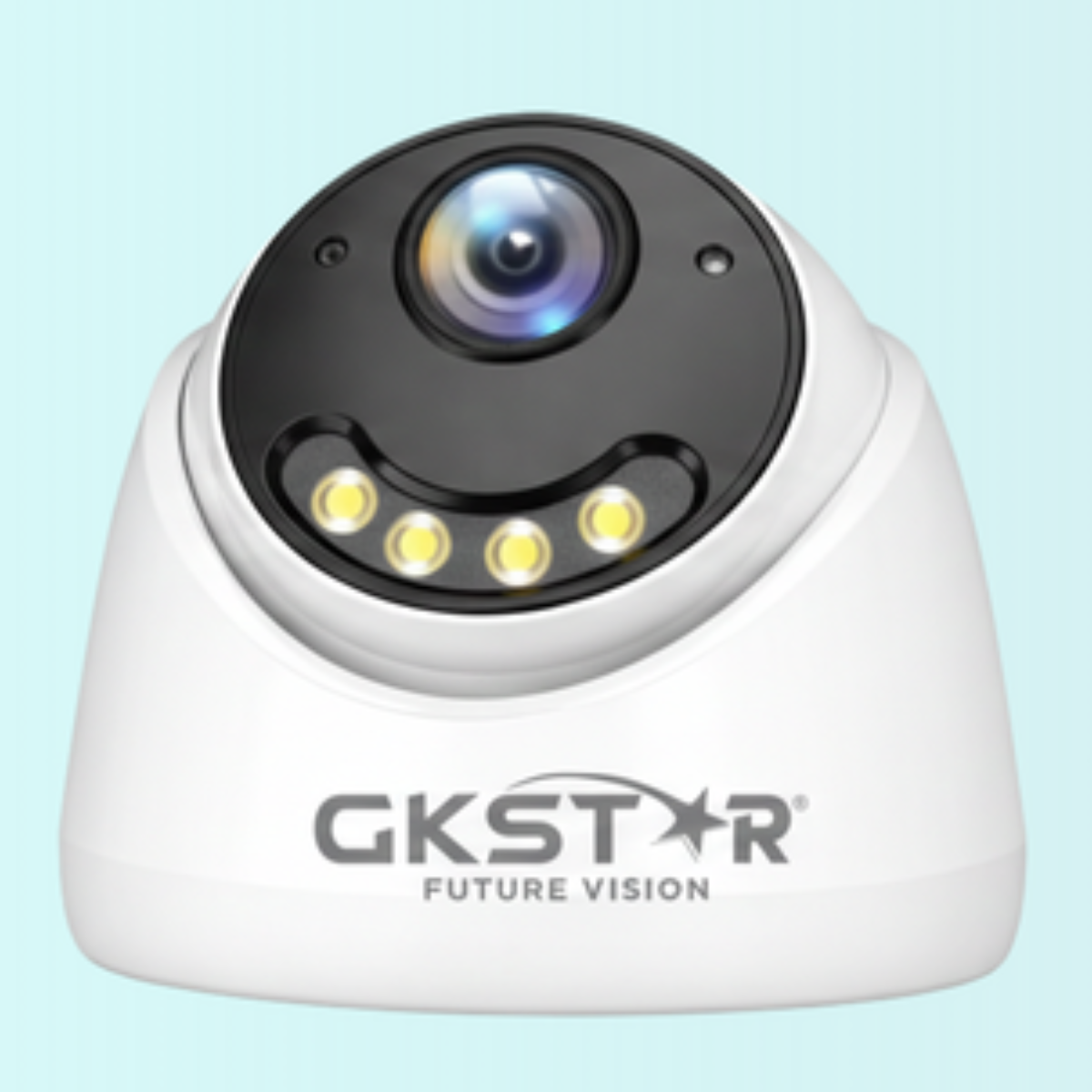 GK Star 5MP IP Dom 2.8mm Color Vu Star Light Lense 30mtr IR Camera - GS-IP-5153-P2-LIU